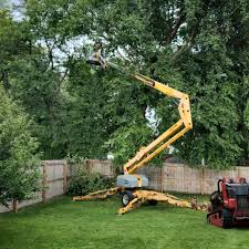 Best Organic Lawn Care Solutions  in Banning, CA