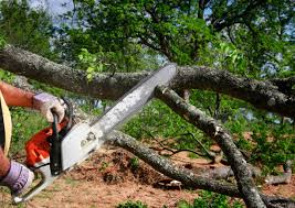 Best Weed Control  in Banning, CA